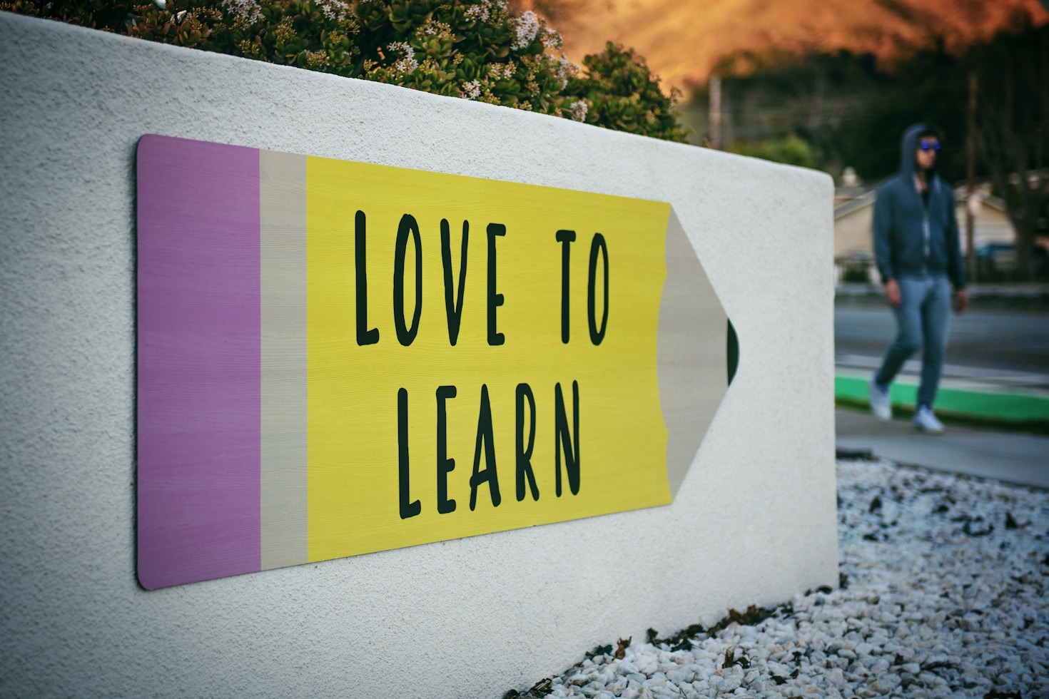 Transform Your Study Habits with These Strategies